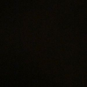 Meet your Posher, Dianna